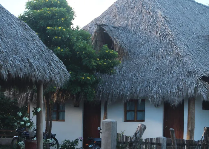 Wild Waves Surf-House